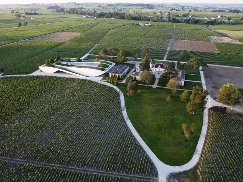 How climate change affects wine&nbsp;growing