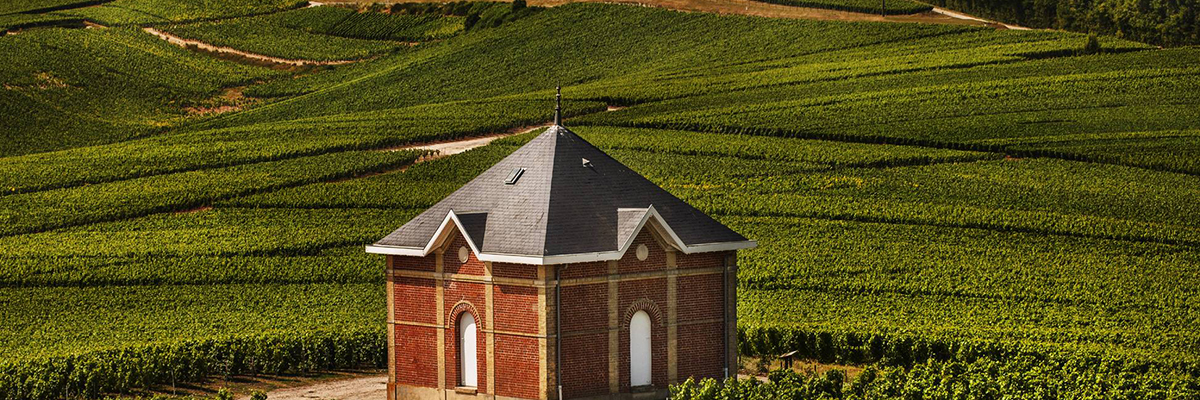 © Vineyards Moët & Chandon