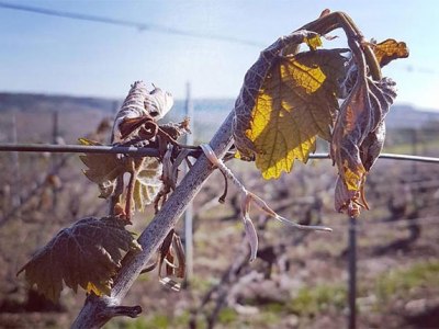 Dealing with climate&nbsp;changes